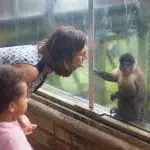 Une activité en famille ludique : la visite du zoo de Guadeloupe