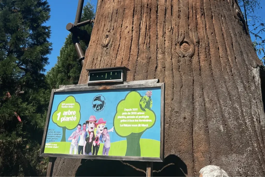 Timber drop, montagne russe dans le parc d'attraction dans les Vosges de Fraispertuis