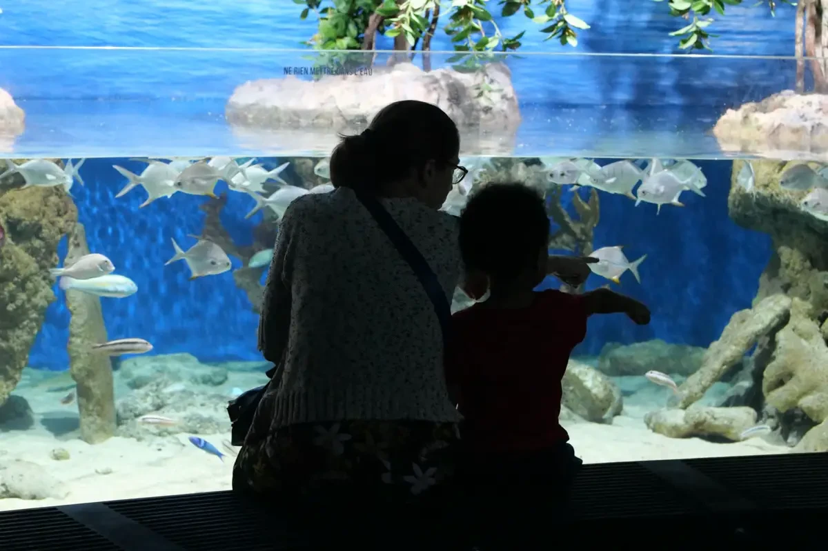 L'aquarium, une sortie en famille idéale par temps de pluie