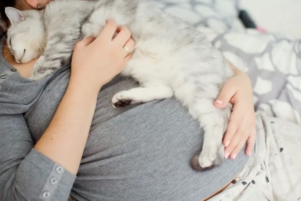 Femme enceinte se reposant en caressant son chat